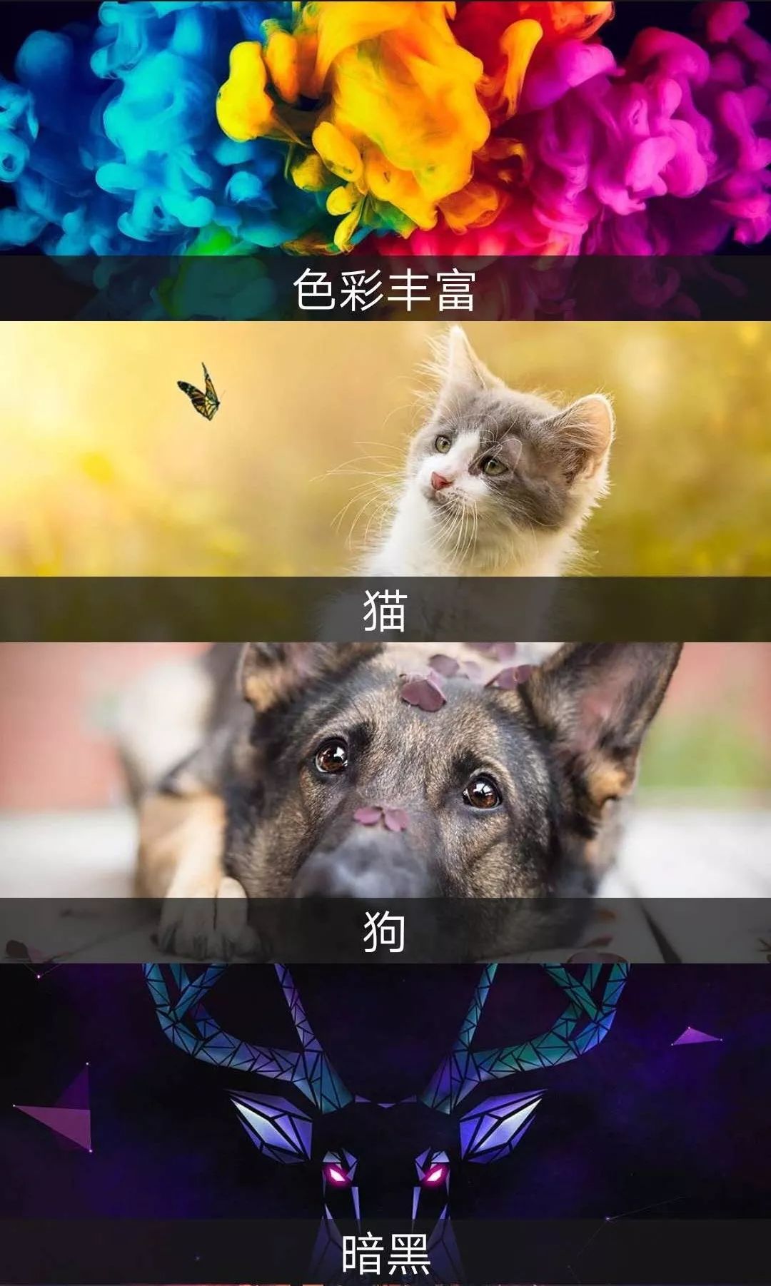 這個App竟然解鎖了18+VIP，請低調使用！插圖4