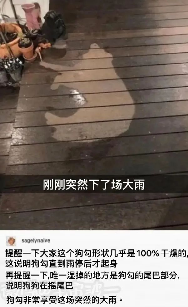 這口罩也太可愛了點吧！插圖22