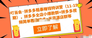 叮當會?拼多多粗暴賺錢特訓營（11-19期），拼多多爆款群+拼多多視頻技術+無貨源店群插圖