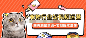 寵物/行業短視頻運營流量增長，解決流量焦慮+實現降本增效百度網盤插圖